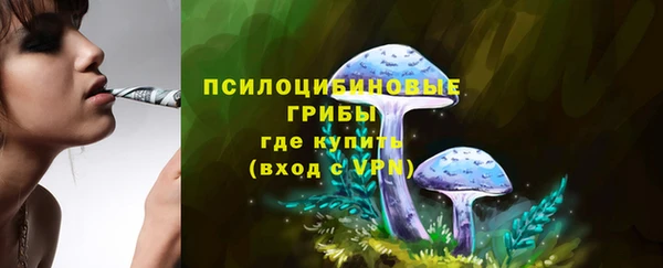 гидра Армянск