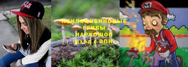 винт Арсеньев