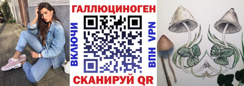 Галлюциногенные грибы Magic Shrooms  купить наркотики цена  Малгобек 